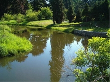 Potok Botič